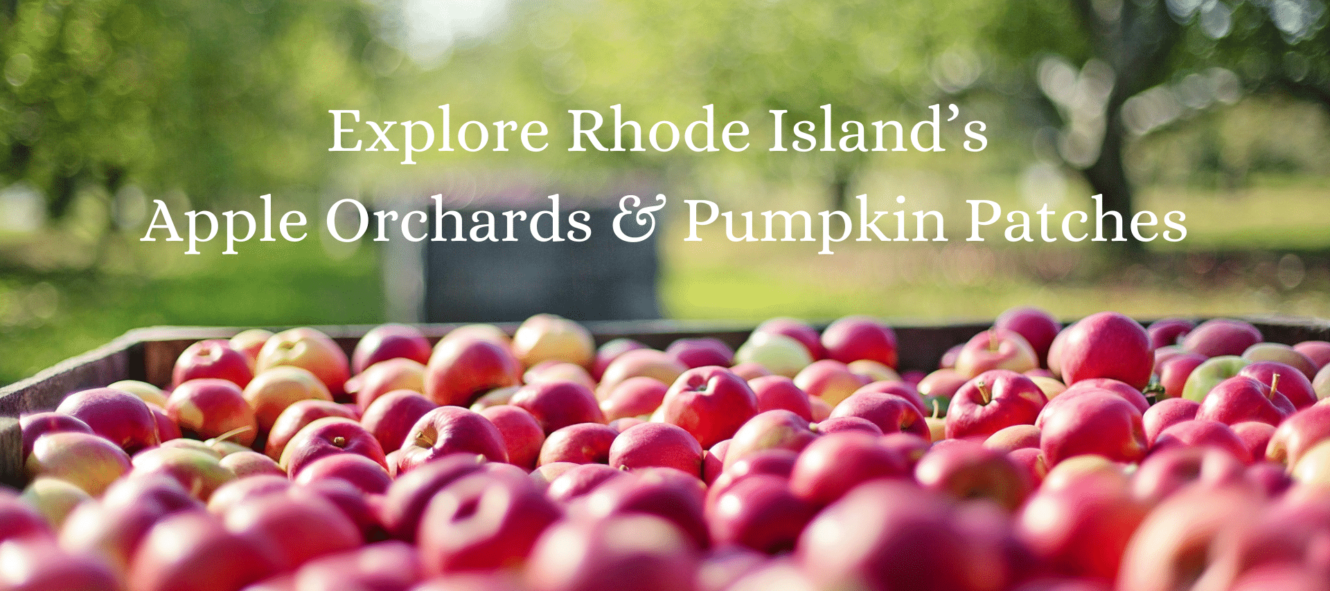 Bushels of red apples splayed out with the text Explore Rhode Island's Apple Orchards & Pumpkin Patches