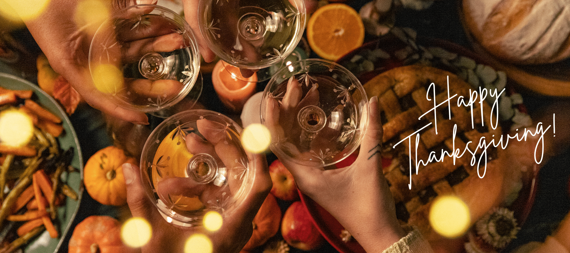 A group of people toasting with glasses of wine.